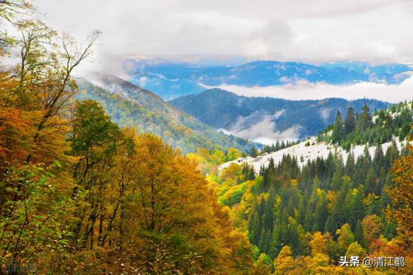 2022年林地徵用費多少錢一畝？視情況區別對待，一卡通直補到戶