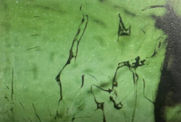 碧璽寶石的鑑定---王建泉