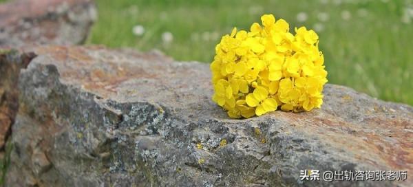 面對痛苦，最重要的是，你要繼續向前走