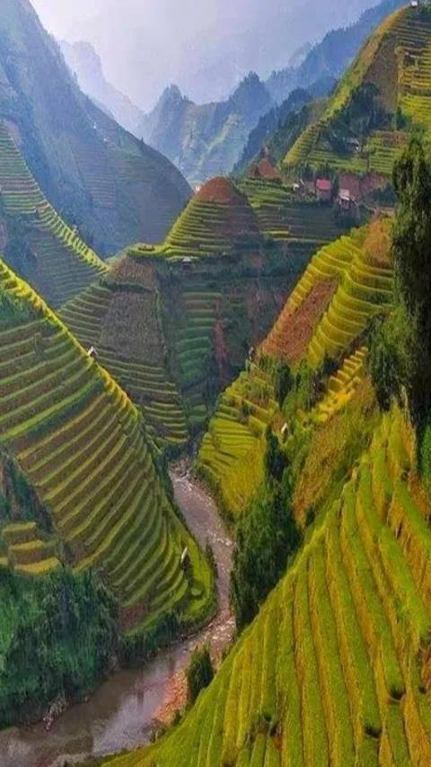 美麗的梯田 美麗的梯田