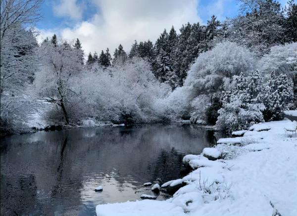 凍壞了！溫哥華體感-20度，世界最冷15個地方其中14個在加拿大