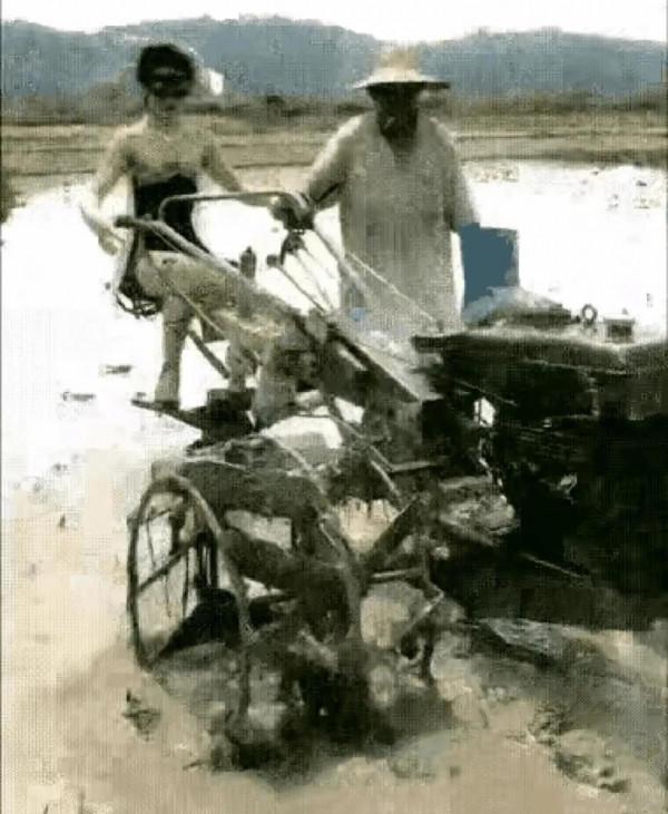 惜福啊——幾張照片給我的啟示