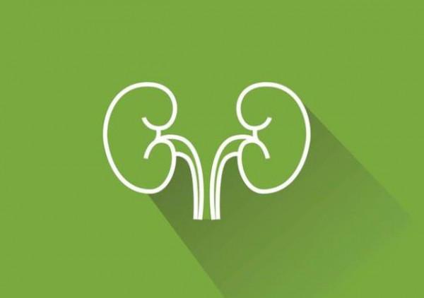 血肌酐超過安全線，患者在日常飲食上應該注意什麼？