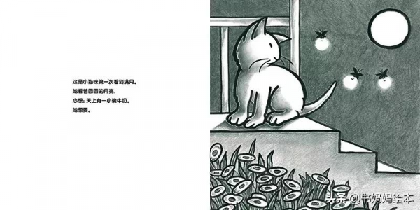 貓咪主題繪本推薦｜和孩子一同開啟喵星人的世界