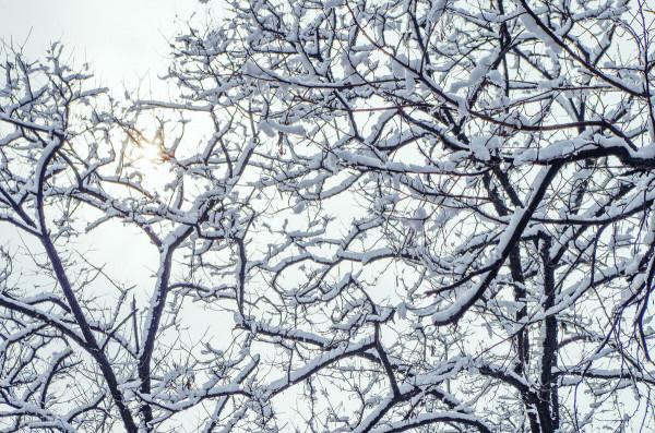 12月去哪玩?這8個美如畫卷的小眾打卡地,一到冬天就美成了仙境 12月去哪玩?這8個美如畫卷的小眾打卡地,一到冬天就美成了仙境