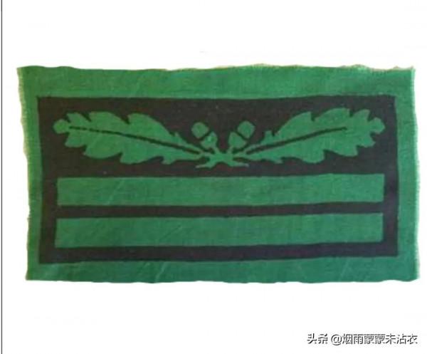 條條槓槓眼花繚亂,看看二戰德國黨衛軍迷彩軍銜是啥樣 條條槓槓眼花繚亂,看看二戰德國黨衛軍迷彩軍銜是啥樣