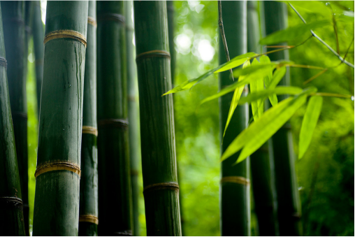 “搬不完”，—瓶不是為了賺錢的酒