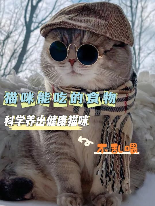 這些食物貓咪是能吃的，而且營養成分高