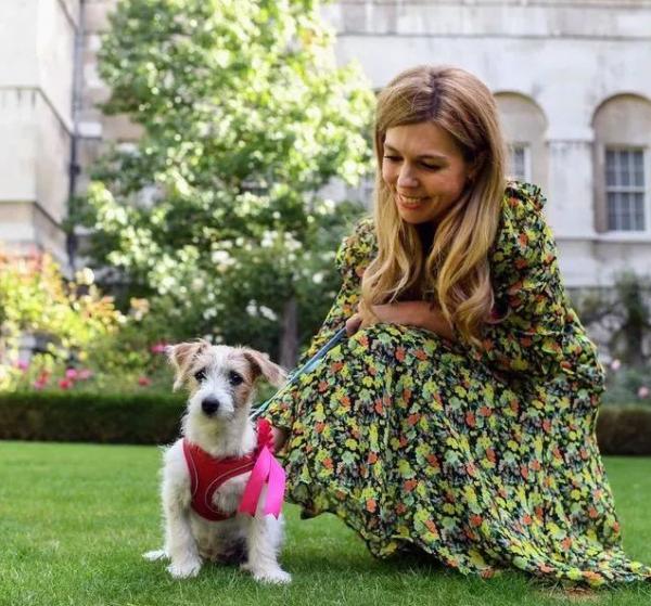 英國首相夫人：擠走高顏值前妻，戴鴿子蛋大鑽戒，齙牙妹憑什麼