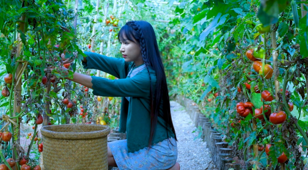 李子柒雖然時尚感不強,但顏值真挺高,央視鏡頭下,也很有鄉土氣 李子柒雖然時尚感不強,但顏值真挺高,央視鏡頭下,也很有鄉土氣