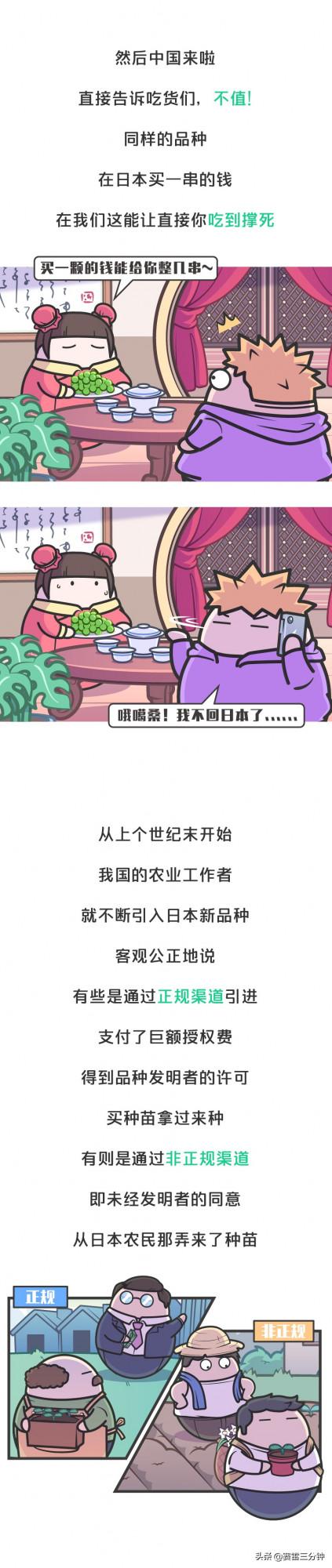 日本悄然發動水果戰爭!關乎我們每個人的水果自由 日本悄然發動水果戰爭!關乎我們每個人的水果自由