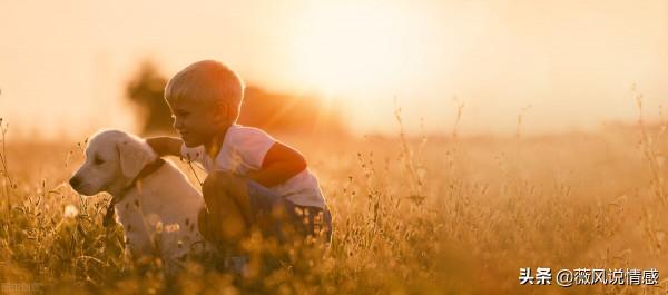 努力向上生長，才是最好的人生破局之道