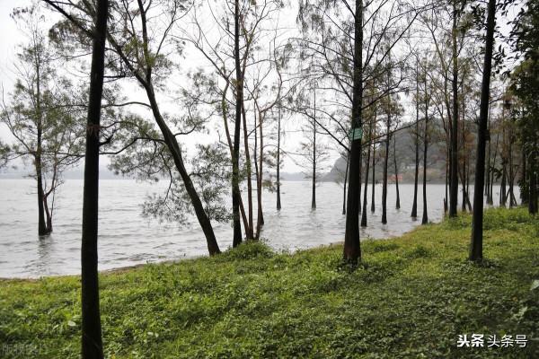 在廣東，湛江是一個比較另類的城市