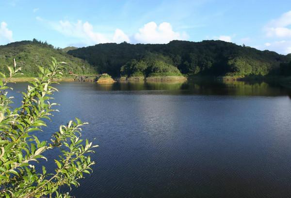 遺世而獨立的杜鵑湖最美