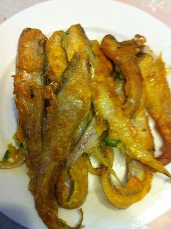 跳跳魚:我為了上岸跳了3億年,卻還是跳進了你們人類的廚房 跳跳魚:我為了上岸跳了3億年,卻還是跳進了你們人類的廚房