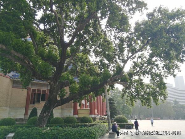 參觀綠樹環繞的中山紀念堂,從西側廣場開始,可以看到迷人的側顏 參觀綠樹環繞的中山紀念堂,從西側廣場開始,可以看到迷人的側顏