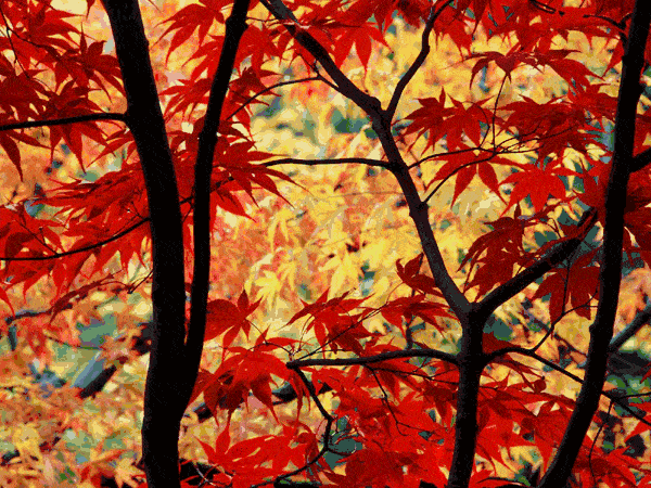 人生難得是閒適