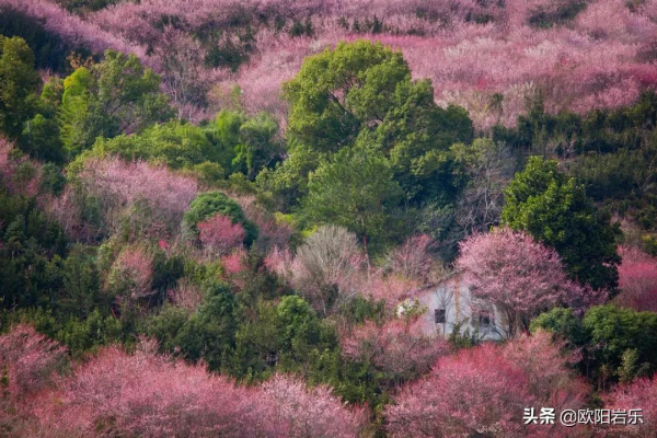 國內34省區最值得去的地方，個個都美得有魔力，此生不去心不安