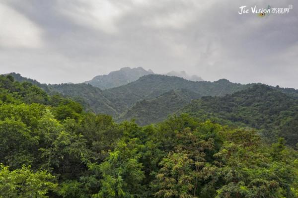 北京密雲有個“松鼠部落”十一假期來松鼠谷與2000只松鼠一起過