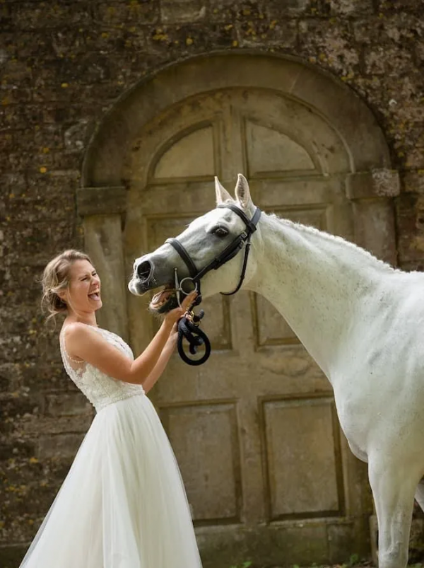 馬兒對你說“我愛你”的5種方式