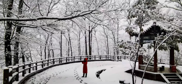 留壩：雪花紛飛迎新春 銀裝素裹靚山城