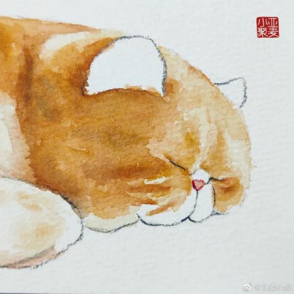 手繪水彩寫意大臉貓