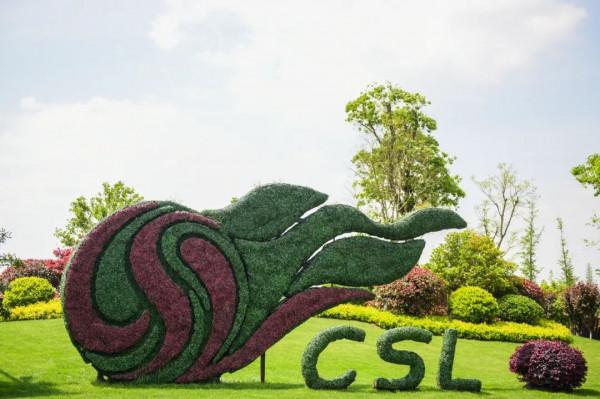 國足11月倆主場,蘇州申辦正在審批中 國足11月倆主場,蘇州申辦正在審批中