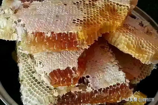 我國油菜很多，為啥市面上的菜花蜜卻很少？4個去處，業內不願說