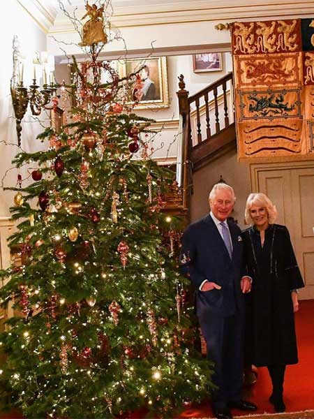 劍橋三寶趣事記！愛和表兄妹瘋玩笑鬧，3歲路易王子是快樂捧場王