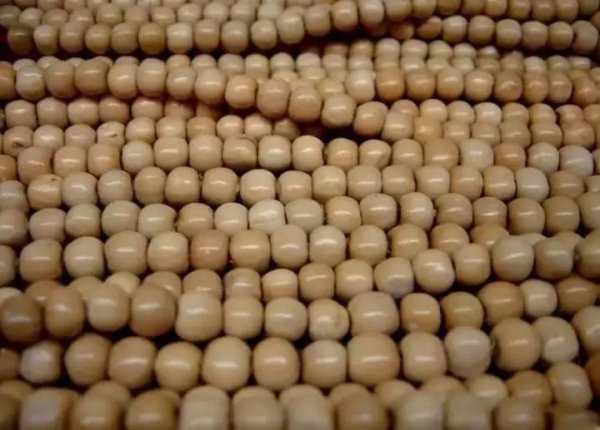 已經被遺忘的菩提，包漿、開片效果都很完美