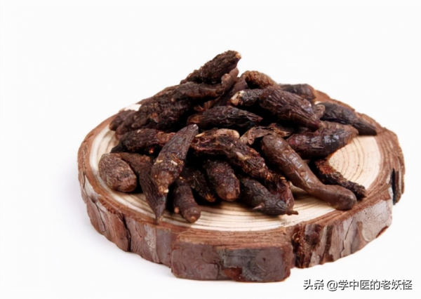 每天學習一味中藥——香附 每天學習一味中藥——香附