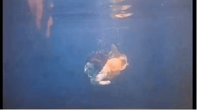 同樣是演美人魚，鍾麗緹董璇驚豔，楊冪辣眼，甘婷婷像&OpenCurlyDoubleQuote;水鬼&rdquo;