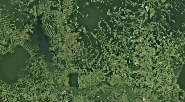 地球正在變綠？原因在中國和印度，專家卻對印度的“綠”十分擔憂