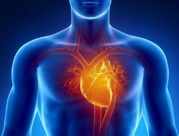 面對腦梗、心臟驟停的相關措施，對你幫助較大，可謂人人必學