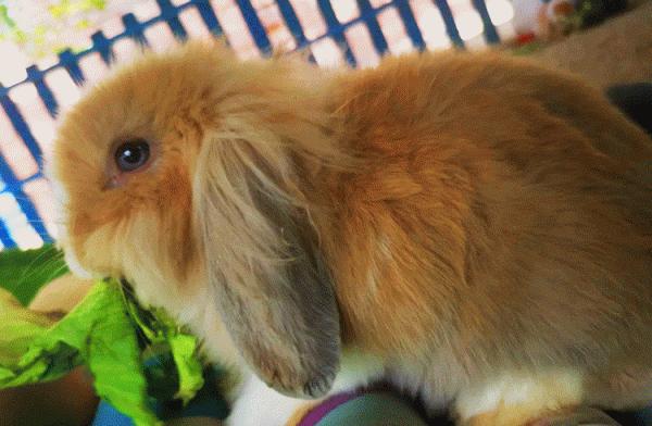 【FENG景】北京青龍湖公園:京西避暑勝地,納涼青龍疊翠 【FENG景】北京青龍湖公園:京西避暑勝地,納涼青龍疊翠