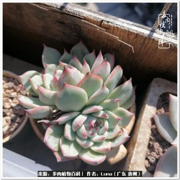 學會和解:與自己、與他人、與世界 學會和解:與自己、與他人、與世界