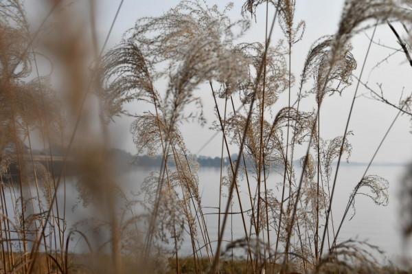 神遊三岔湖——不浪費每一個暖陽的冬日