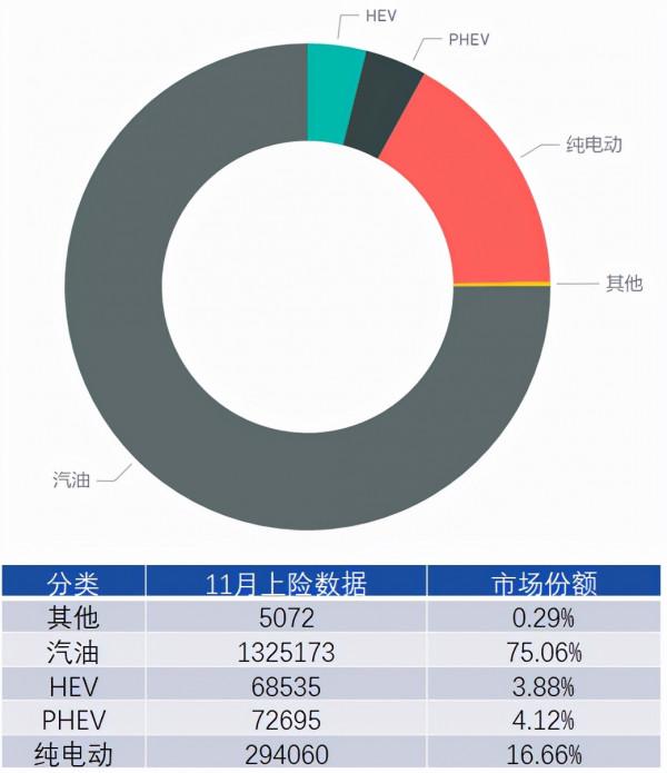 11月新能源汽車上險資料概覽