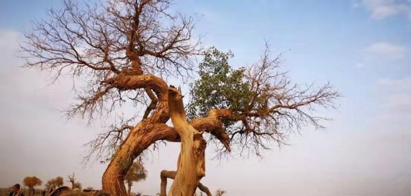 我們為什麼要去旅行? 我們為什麼要去旅行?