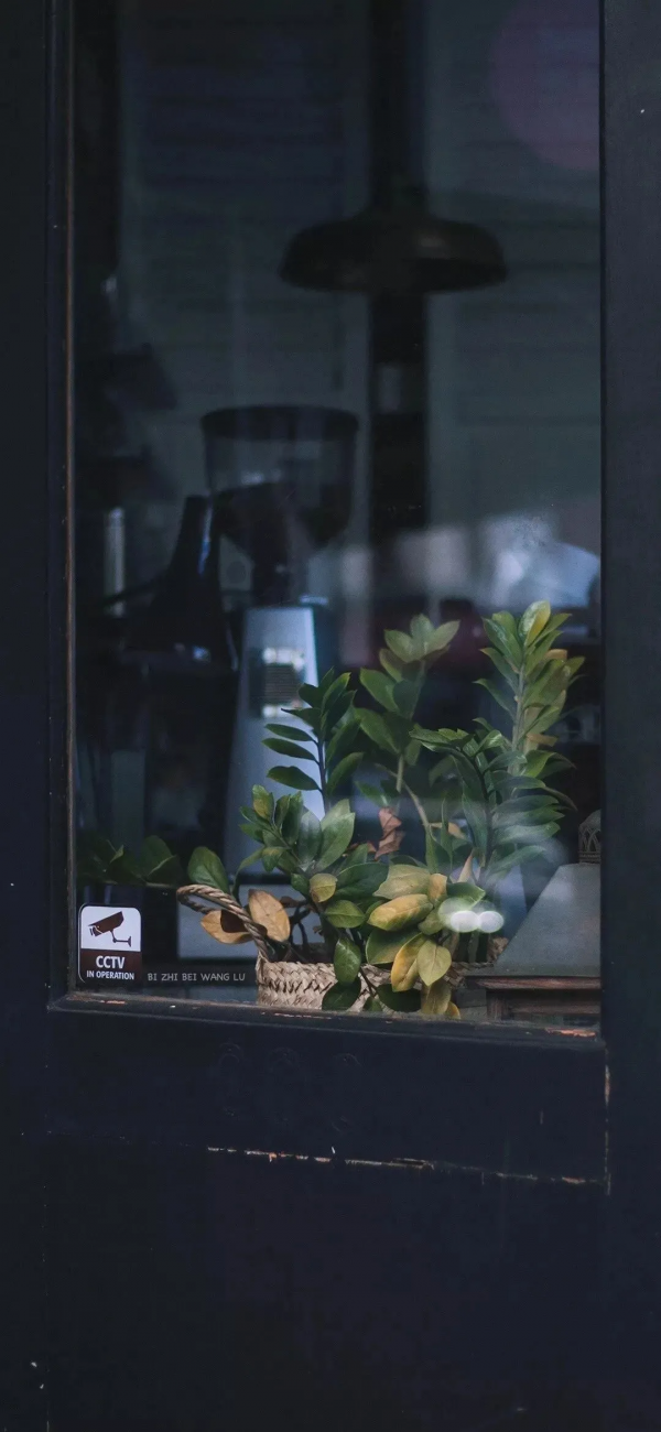 桌布：今天的桌布很好看