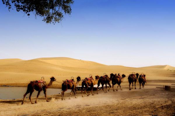 重走古玉石之路，探尋新疆和田玉的故鄉（連載）