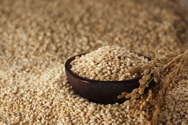 減脂餐的反人類程度，是你能想象的嗎？