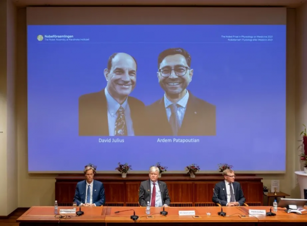 2021年諾貝爾獎收官!大資料下,全美第一實至名歸 2021年諾貝爾獎收官!大資料下,全美第一實至名歸