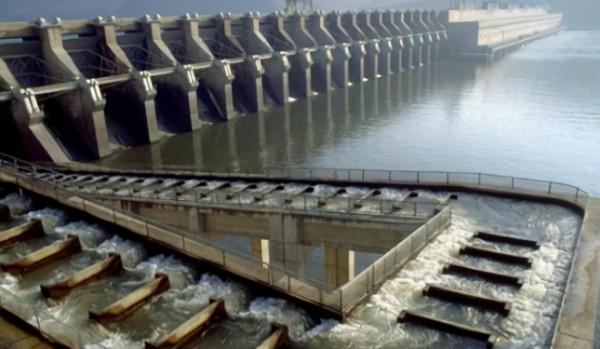 人類發明了魚梯，然而魚卻爬不上去，我們該如何拯救回溯魚？