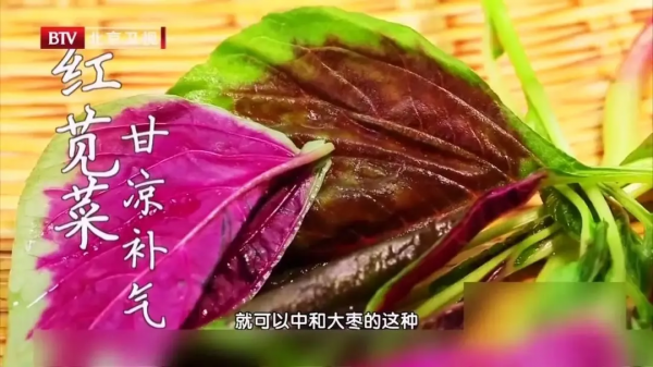 秋分後吃莧菜，清熱利溼，營養又美味