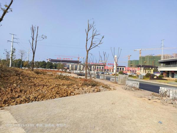 只見工地的酃湖公園