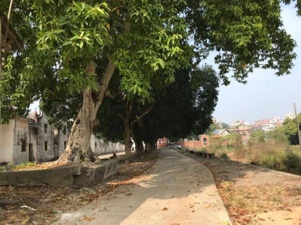 文旅中國0009:廣東省最大古梁家莊園,有炮樓碼頭為何人去樓空? 文旅中國0009:廣東省最大古梁家莊園,有炮樓碼頭為何人去樓空?