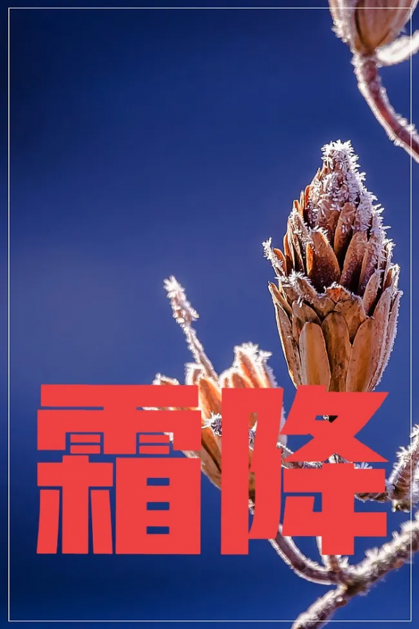 天氣預報:今天霜降,天氣晴朗有什麼預兆?看看老祖宗留下的諺語 天氣預報:今天霜降,天氣晴朗有什麼預兆?看看老祖宗留下的諺語