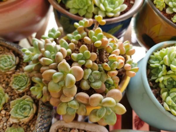 感謝遇見——在彼此的生命裡丰姿綻放