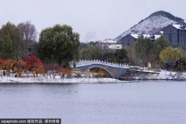 全部清零！當藝術戀上這座城，邂逅唯美“豎琴橋”，奇幻冰瀑即將亮相~